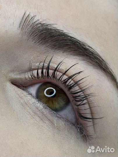 Бровист ламимейкер