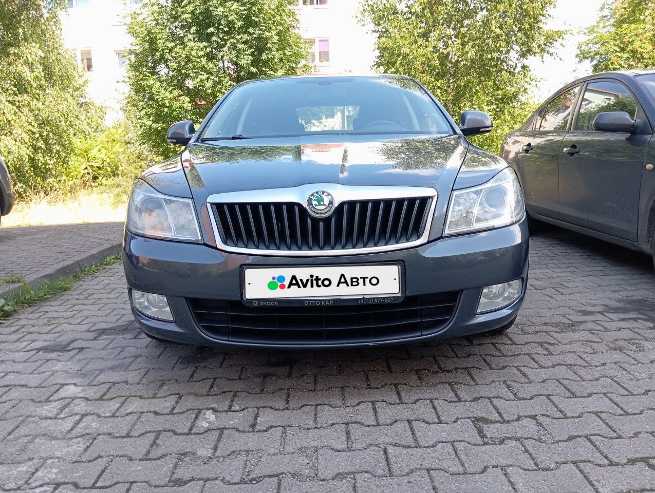 Skoda Octavia: фото владельца