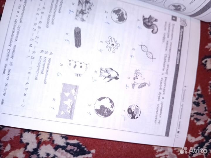 Справочник ЕГЭ ОГЭ биология