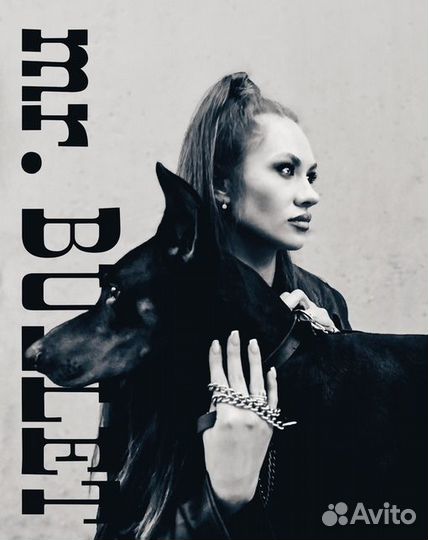 Доберман для фотосессии