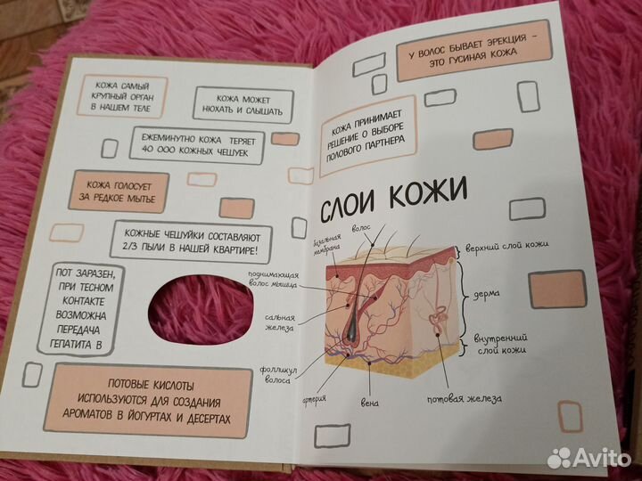 Научно-популярные книги