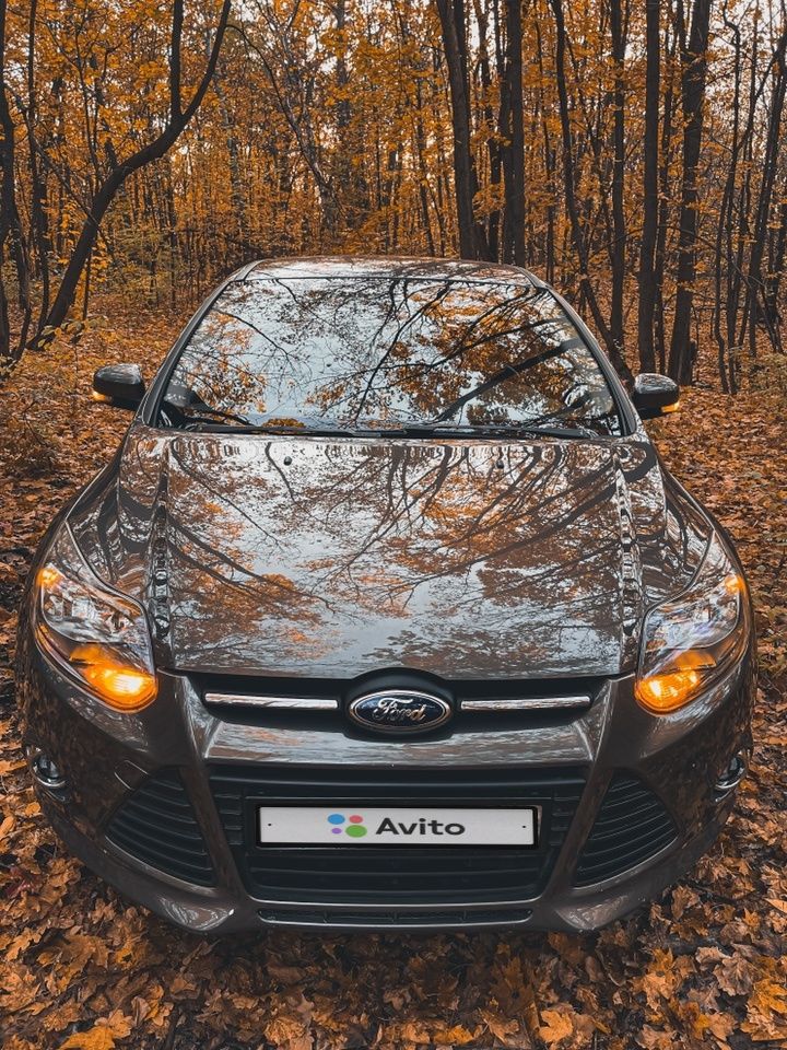 Ford Focus: фото владельца