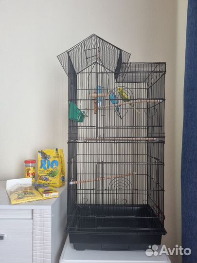 Волнистые попугаи с клеткой