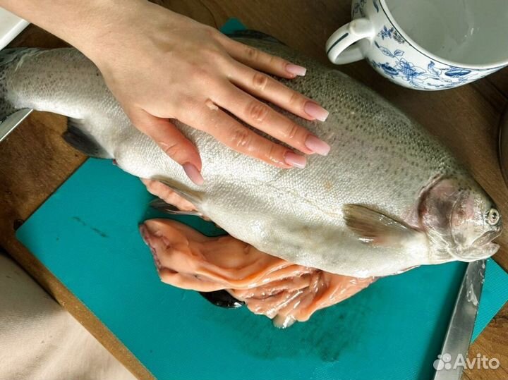 Форель Мурманская розница