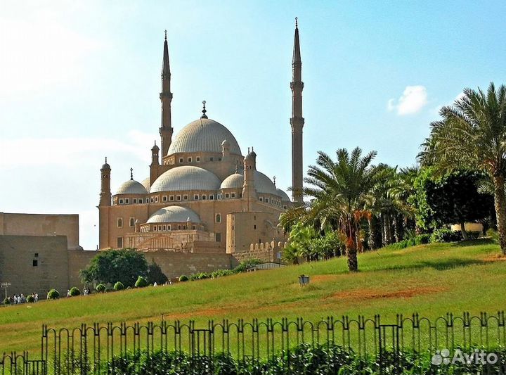 Путевка в Египет от 1 чел