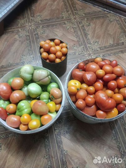 Помидоры свежие домашние