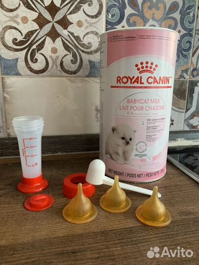 Royal canin для котят
