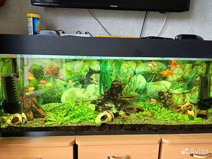 Аквариум