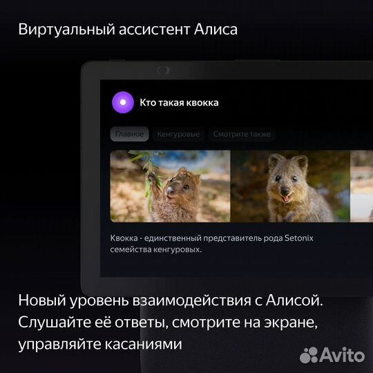 Яндекс Станция Дуо Макс, модель yndx-00055 GRN (зе