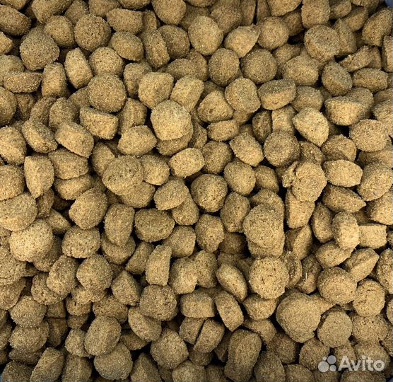 Прохвост корм для собак с ягненком