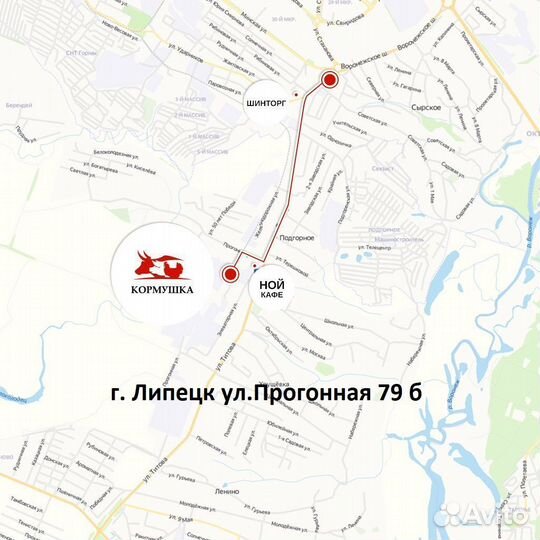 Редька масличная