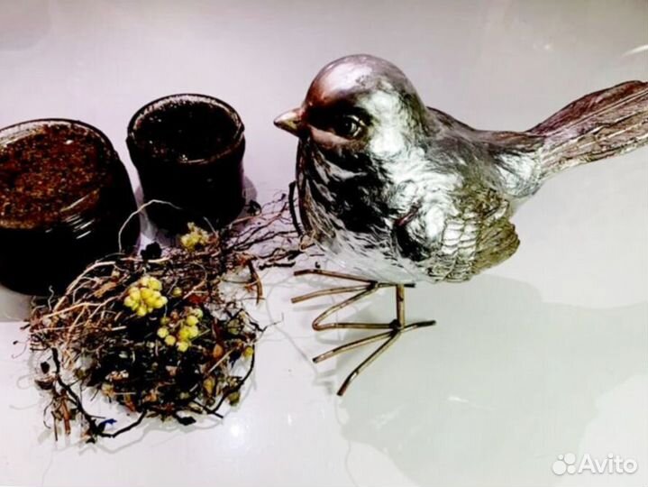 Мужской натуральный мёд