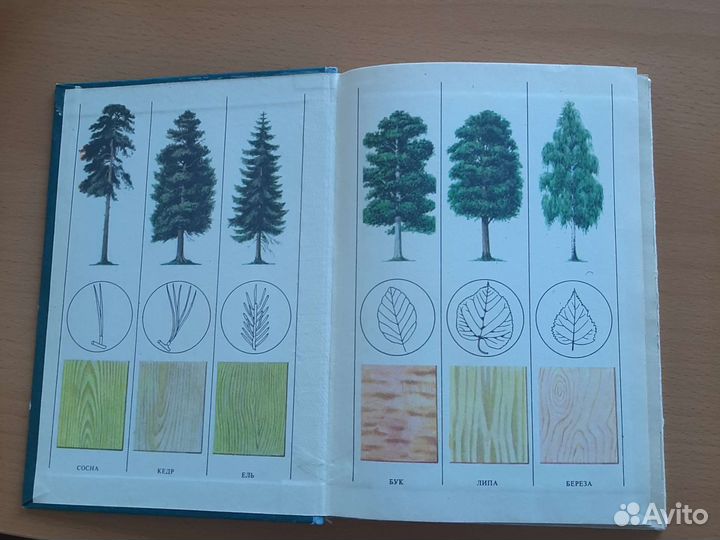 Справочник молодого стояра и плотника