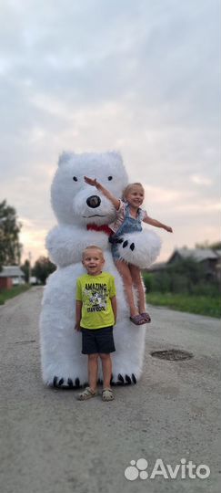 Медведь поздравление