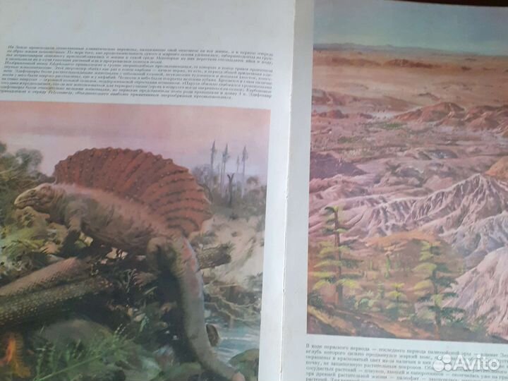 Книга история жизни на Земле