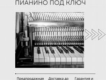 Пианино "Petrof" с услугами по одной цене