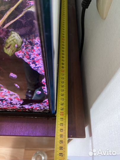 Аквариум Aquael с поющей сомихой