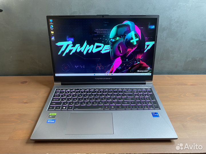 ThundeRobot IPS165Hz 15,6