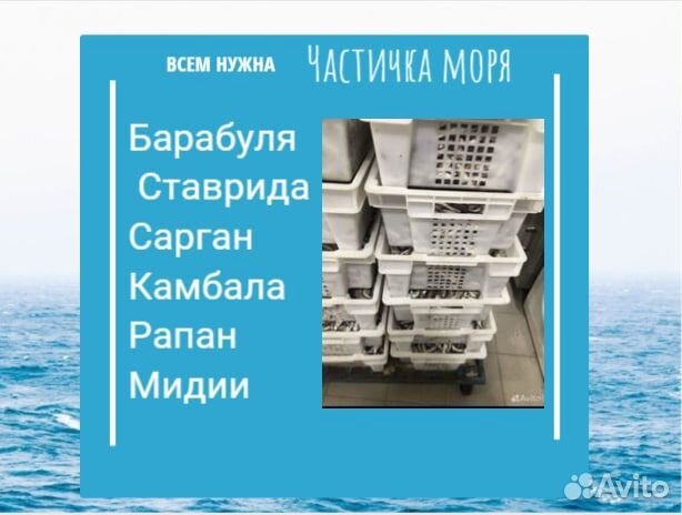 Готовый бизнес, продажа рыбы