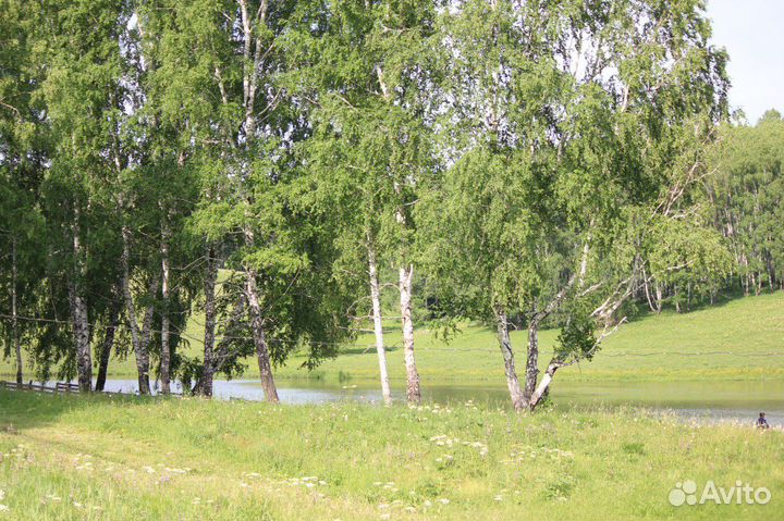 Прудовое хозяйство