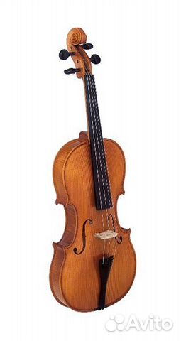 Скрипка студенческая