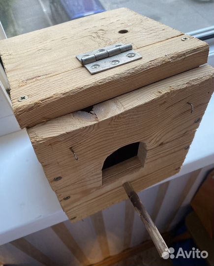 Гнездовой ящик для попугаев