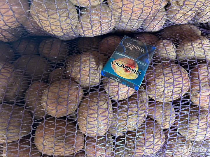 Продам картофель