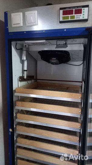 Инкубатор для яиц автоматический бу