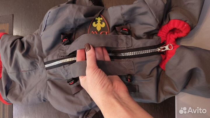 Комбинезон для собаки девочки джек рассел