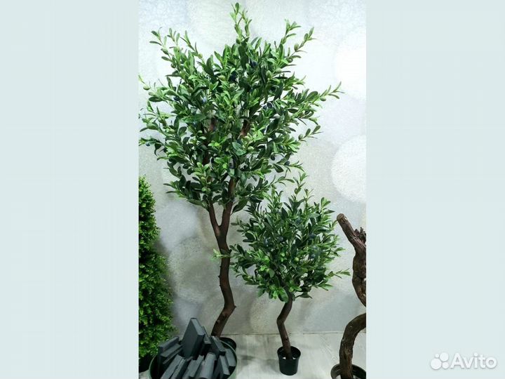 Искусственная олива, искуственное дерево