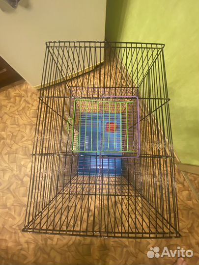 Большая летка для грызунов