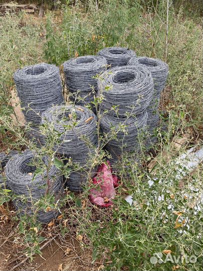 Колючая проволока