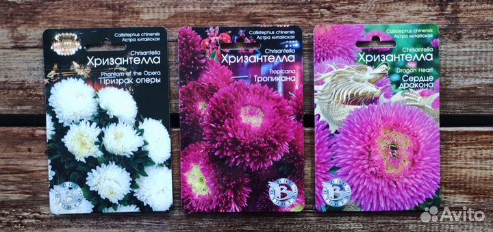 Семена Астра Китайская