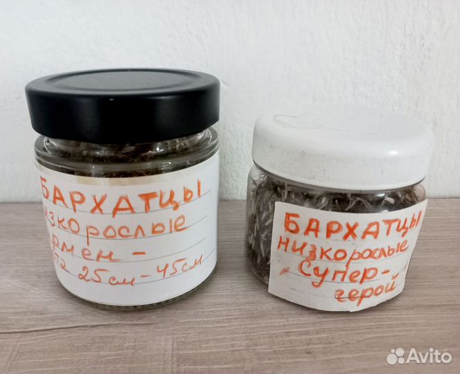 Бархатцы семена