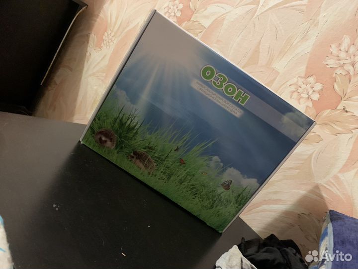 Озонатор