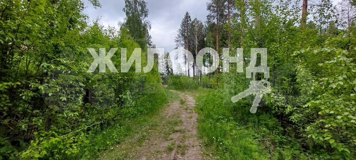 Участок 15 сот. (ИЖС)