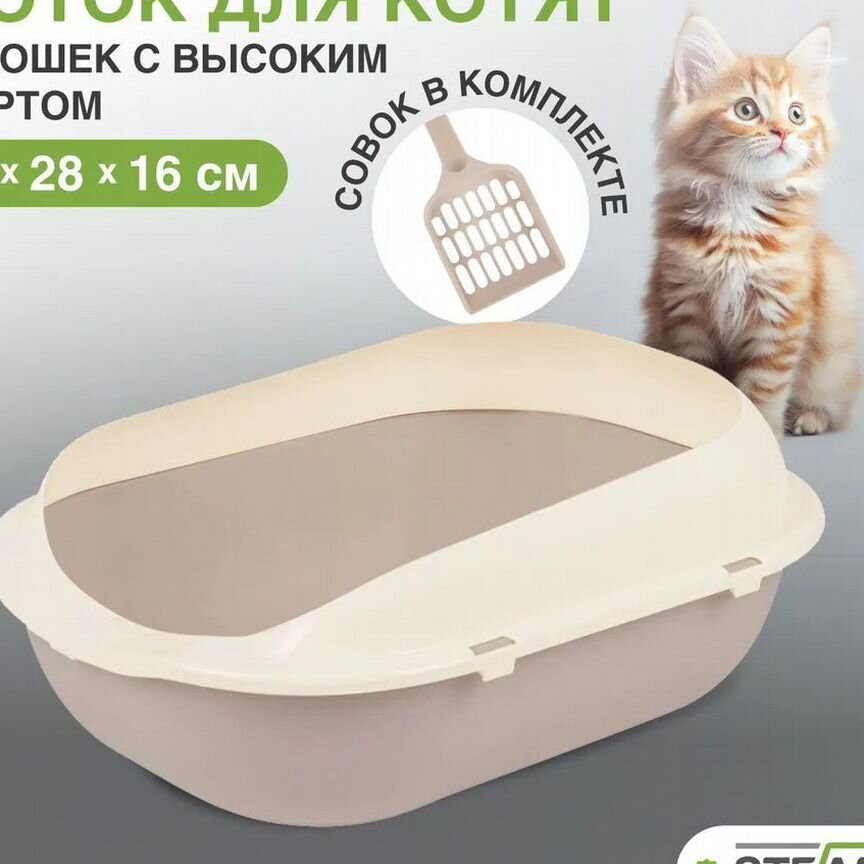 Лоток туалет для котят и кошек с высоким бортом и