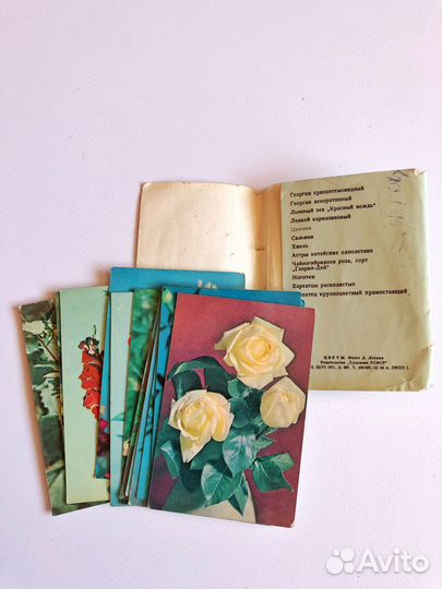 Открытки цветы СССР