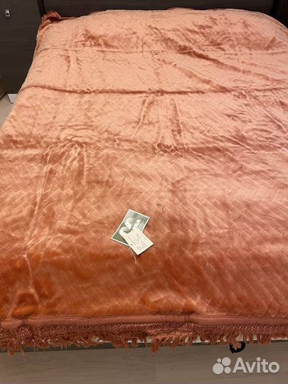 Плед (Испания)