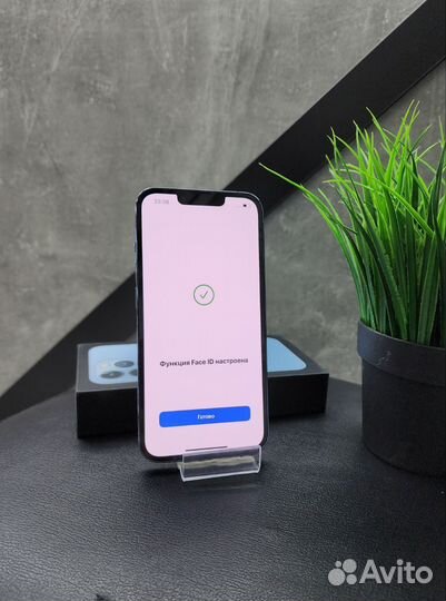 iPhone 13 Pro Max, 256 ГБ