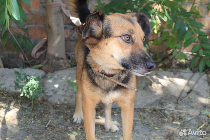 Малышка в поисках мам и пап