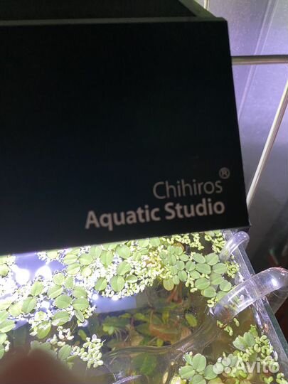 Аквариум. Свет Chihiros. Рефректометр