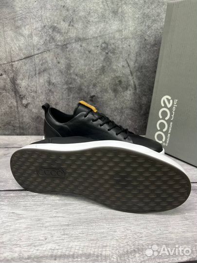 Кеды ecco мужские