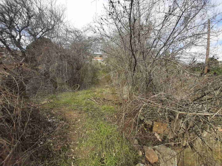 Участок 6 сот. (ИЖС)