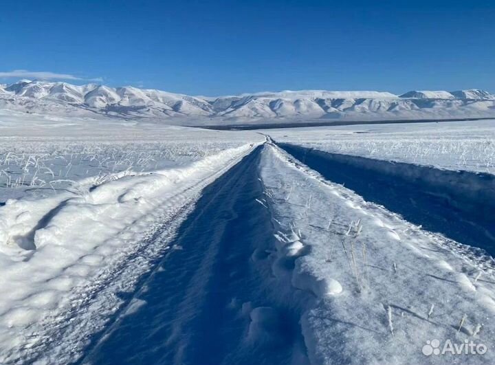 На Алтай зимний путевка экспедиция от 5 до 9 дн