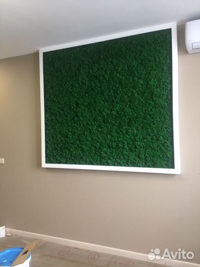 Фитопанно. Фитостена/ стена со мхом