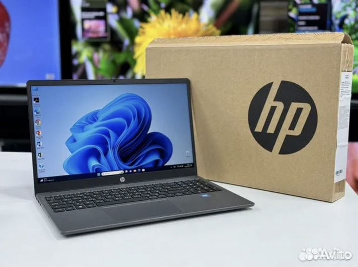 Новый HP 15.6 IPS Intel N100 SSD256g 8G озу