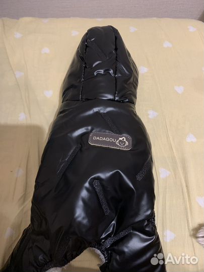 Одежда для маленьких собак s