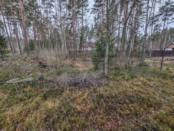 Участок 10,7 сот. (СНТ, ДНП)