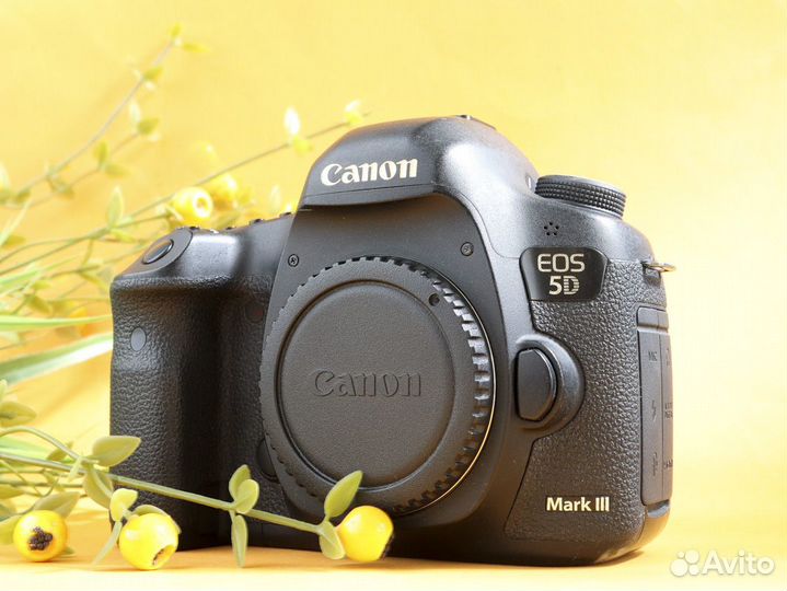 Фотоаппарат Canon 5D mark III body